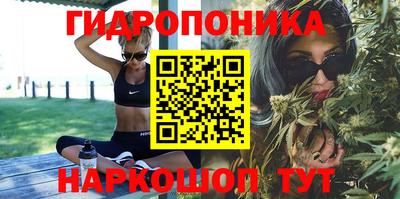 spice Краснокаменск