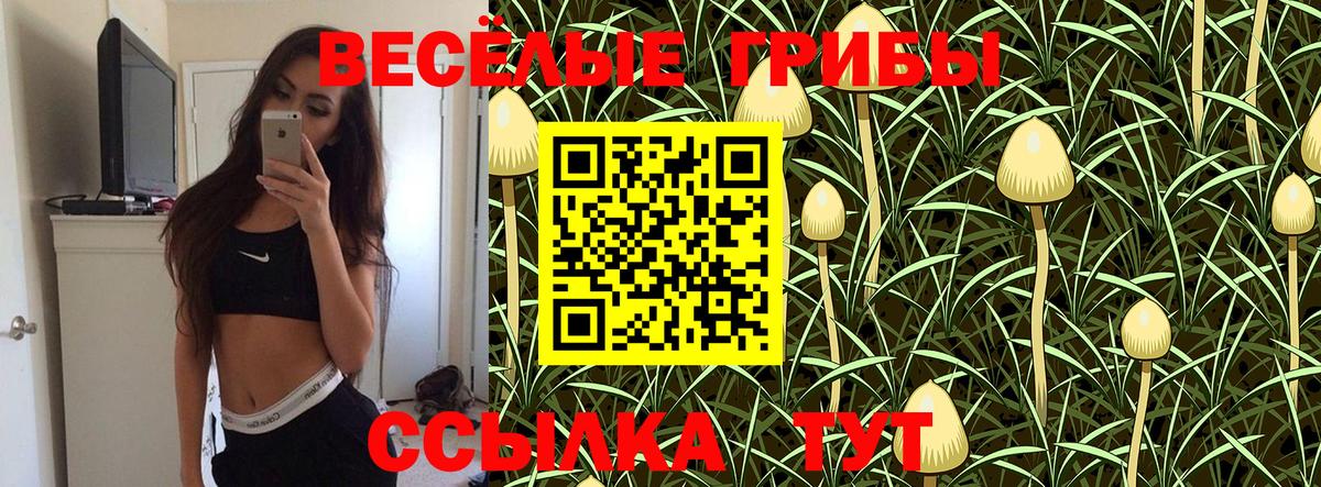 Псилоцибиновые грибы ЛСД Югорск
