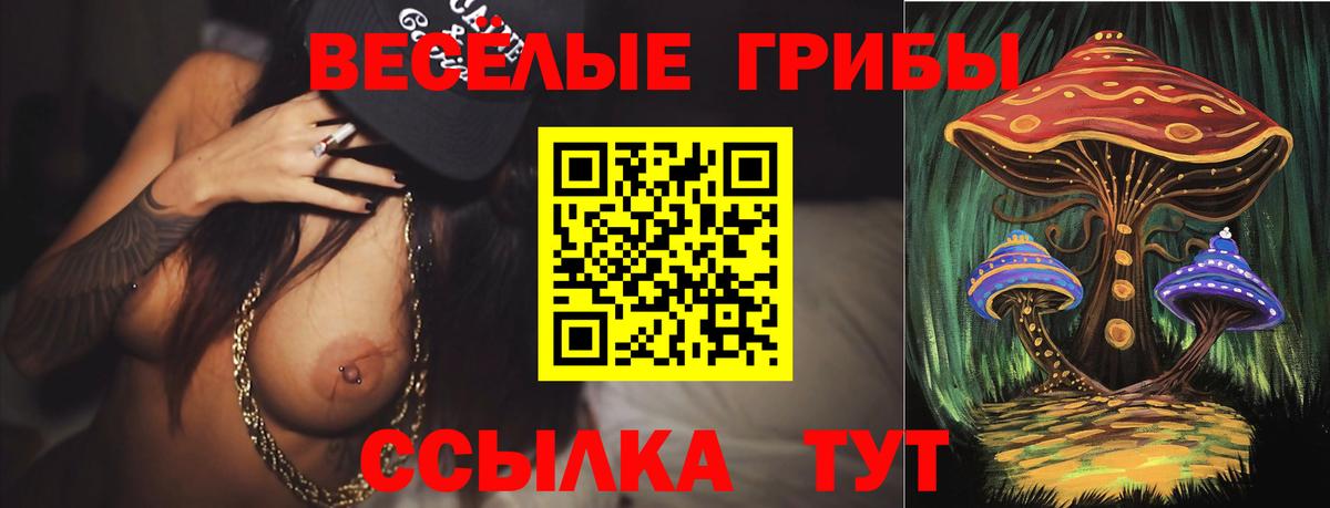 где можно купить   Вход с VPN  Югорск  Псилоцибиновые грибы мицелий 
